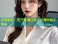 麻豆影视：国产高清在线，丝滑流畅不等待