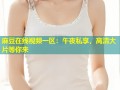 麻豆在线视频一区：午夜私享，高清大片等你来