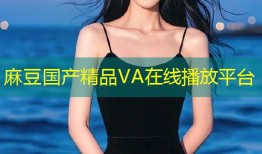 麻豆国产精品VA在线播放平台