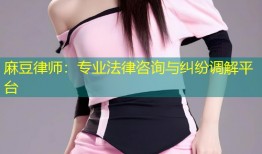 麻豆律师：专业法律咨询与纠纷调解平台