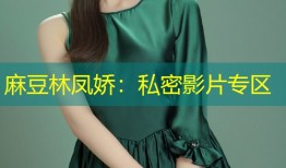 麻豆林凤娇：私密影片专区