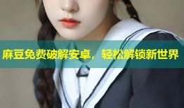 麻豆免费破解安卓，轻松解锁新世界