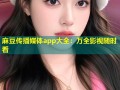 麻豆传播媒体app大全：万全影视随时看