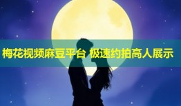 梅花视频麻豆平台 极速约拍高人展示