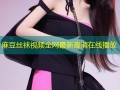 麻豆丝袜视频全网最新高清在线播放