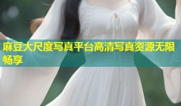 麻豆大尺度写真平台高清写真资源无限畅享