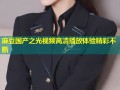 麻豆国产之光视频高清播放体验精彩不断