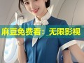 麻豆免费看：无限影视