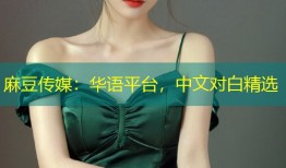 麻豆传媒：华语平台，中文对白精选