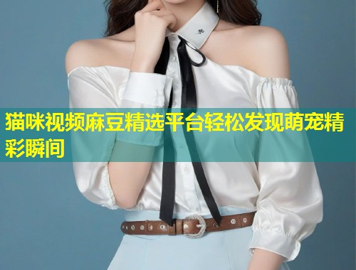 猫咪视频麻豆精选平台轻松发现萌宠精彩瞬间