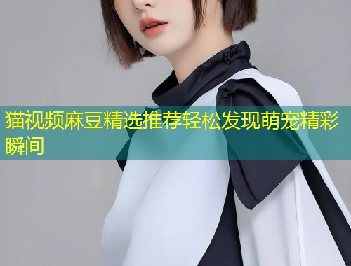 猫视频麻豆精选推荐轻松发现萌宠精彩瞬间