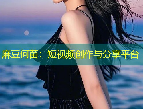 麻豆何苗：短视频创作与分享平台