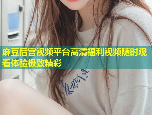 麻豆后宫视频平台高清福利视频随时观看体验极致精彩