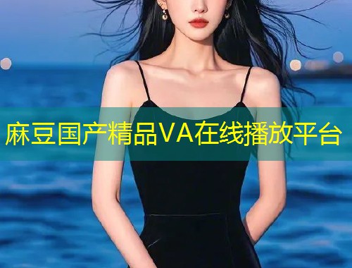麻豆国产精品VA在线播放平台