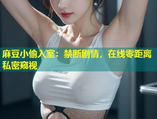 麻豆小偷入室：禁断剧情，在线零距离私密窥视