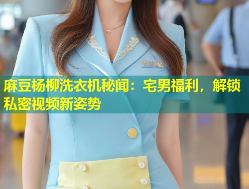 麻豆杨柳洗衣机秘闻：宅男福利，解锁私密视频新姿势
